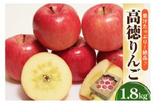 【先行予約】令和7年産 高徳りんご 1.8kg（秀以上）6～11玉 2025年11月上旬～ お届け 2025年産