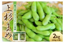 《 先行予約 》 〔 令和7年産 〕 枝豆 上杉まめ 2kg（ 250g × 8袋 ）1箱 品種おまかせ 〔 R7年8月上旬～8月下旬頃お届け 〕 2025年産