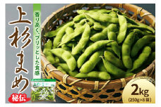 《 先行予約 》 〔 令和7年産 〕 枝豆 上杉まめ 秘伝 2kg（ 250g × 8袋 ）1箱 〔 R7年 9月中旬 ～ 9月下旬頃 お届け 〕 2025年産