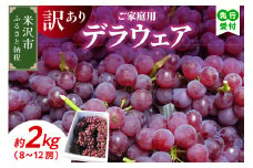  【 令和7年産 】 家庭用 訳あり デラウェア 2kg 8 ～ 12房 種無し ぶどう〔 8月下旬 ～ 9月下旬頃お届け 〕 2025年産 農家直送 産地直送