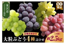 《 先行予約 数量限定 》 【 令和7年産 】 大粒 ぶどう 詰合せ 4種類 約 2.5kg 4房 ( 品種おまかせ ) 〔 9月中旬 ～ 下旬頃お届け 〕 2025年産 農家直送 産地直送
