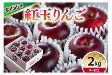 【 令和6年産 】 紅玉 （ りんご ） 2kg 9～12玉 〔 10月中下旬～お届け 〕 2024年産