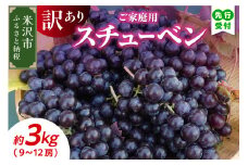 《 先行予約 》 【 令和7年産 】 家庭用 訳あり スチューベン 3kg 9 ～ 12房 ぶどう〔 9月下旬 ～ 10月下旬頃お届け 〕 2025年産 農家直送 産地直送