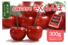 《 先行予約 》 令和7年産 さくらんぼ 300g ( 100g × 3パック ) 品種おまかせ ( 佐藤錦 紅秀峰 紅てまり 大将錦 いずれか ) 2025年産
