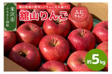 【先行予約】令和7年産 舘山りんご ふじ 5kg（16～20玉）2025年11月下旬～ お届け リンゴ 林檎 2025年産