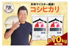 【 令和6年産】 コシヒカリ 計 10kg ( 5kg × 2袋 ) おうちごはん応援米 数量限定 2024年産 精米 米 白米 ブランド米 お米マイスター 山形県