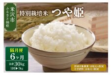 【 隔月定期便 全6回 / 令和6年産 】 つや姫 5kg × 6回 計 30kg 〈 2024年 10月 から 偶数月配送 〉 特別栽培米 ブランド米 産地直送 2024年産