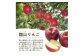 ※写真はイメージです（秋陽）。状況によりお届けする品種は変わります。