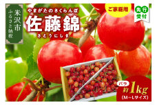 《 先行予約 》 【 令和7年産 】 家庭用 さくらんぼ 佐藤錦 バラ詰め 1kg ( M ～ Ｌ 混合 ) 〔 6月中旬 ～ 下旬頃 お届け 〕 2025年産 農家直送 産地直送