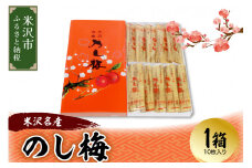 米沢名産 のし梅 1箱10枚入り 和洋菓子の店 虎屋菓子店