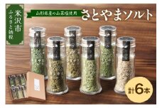山形山菜さとやまソルト 6本 セット ( 6種類 各1本 約20g ) 山菜 塩 山形県産 山菜 使用 福祉施設 就労支援