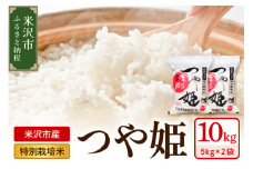 《 先行予約 》【 令和7年産 】 特別栽培米 つや姫 計10kg ( 5kg×2袋 ) 〔2025年10月中下旬頃～順次お届け〕2025年産 産地直送 農家直送 ブランド米