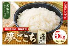 【 令和7年産 】特別栽培米 夢ごこち 5kg 1袋 玄米可 農家直送 2025年産