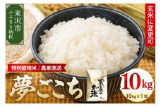 【 令和7年産 】特別栽培米 夢ごこち 10kg 1袋 玄米可 農家直送 2025年産