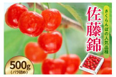 《 先行予約 》 令和7年産 さくらんぼ 佐藤錦 500g （ バラ詰め ）〔 R7年 6月中旬 ～下旬頃 お届け 〕 2025年産
