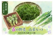 《 先行予約 》 【 令和7年産 】 春 の 山菜セット 伝統野菜 おかひじき 山菜 3～4種類 春野菜 野菜 〔 4月下旬 ～ 5月下旬お届け 〕 2025年産