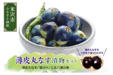 《 先行予約 》 【 令和7年産 】 夏野菜 漬け物セット 薄皮丸なす 茄子漬 漬け物キット 漬け物 〔 8月中旬～9月中旬頃 〕 2025年産