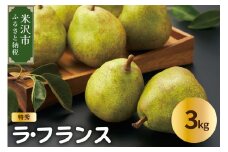 【先行予約】令和7年産 ラ・フランス 3kg（特秀）7～10玉 2025年11月中旬～ お届け ラフランス 洋梨 西洋梨 2025年産