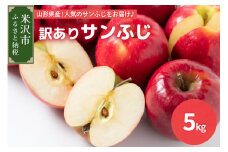 【先行予約】令和7年産 訳あり りんご（サンふじ）5kg 2025年11月中旬～ お届け ご家庭用 2025年産
