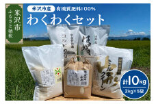【 令和6年産 】 わくわくセット 計 10kg 〔 つや姫 ササニシキ ミルキークイーン はえぬき コシヒカリ 各 2kg 〕 農家直送 2024年産