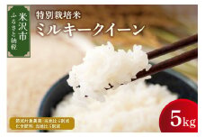 【 令和6年産 】 ミルキークイーン 5kg 特別栽培米 【節減対象農薬：当地比 6割減・化学肥料：当地比 5割減】 産地直送 2024年産