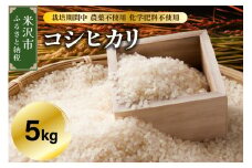 【 令和6年産 】 コシヒカリ 5kg 栽培期間中 農薬不使用 化学肥料不使用 産地直送 2024年産