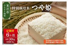 【6ヶ月定期便 2025年4月～9月配送】 つや姫 5kg/月 計30kg