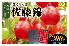 《 先行予約 》 【 令和7年産 】 さくらんぼ 佐藤錦 300g 平箱 手詰め ( 秀 L 以上 ) 〔 6月中旬 ～ 下旬頃 お届け 〕 2025年産 農家直送 産地直送
