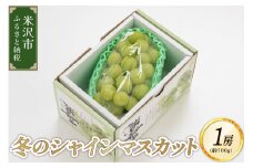【先行予約】 令和7年産  【数量限定】 冬のシャインマスカット 1房（700g以上） 2025年12月上旬～ お届け 2025年産 