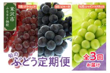 《 先行予約 》【定期便】令和7年産 ぶどうの定期便 全3回 デラウェア ピオーネ シャインマスカット〔  2025年7月下旬頃～ 発送開始  〕2025年産