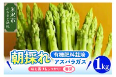 《 先行予約 》【 令和7年産 春芽 】 アスパラガス 1kg 1箱 〔 発送 ： 2025年5月中旬頃 ～ 6月中旬頃 まで 〕 朝採り 有機肥料栽培