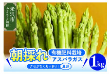 《 先行予約 》【 令和7年産 夏芽 】 アスパラガス 1kg 1箱 〔 発送 ： 2025年8月中下旬 ～ 9月下旬頃 まで 〕 朝採り 有機質肥料栽培