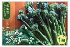 【 令和6年産 】 ブロリーナ 1kg （ 茎ブロッコリー ） 〔 2024年 9月～発送予定 〕 スティックセニョール ブロッコリー 野菜 産地直送 農家直送 2024年産