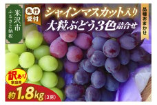 【 令和7年産 】 訳あり 家庭用 シャインマスカット 入り 3色 大粒 ぶどう 詰合せ 1.8kg （3房） 〔 9月中旬 ～ お届け 〕 2025年産 白ぶどう 赤ぶどう 黒ぶどう 農家直送 産地直送