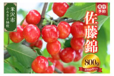 《 先行予約 / 数量限定 》 【 令和7年産 】 さくらんぼ 佐藤錦 800g ( 200g × 4パック ) バラ詰め 〔 6月下旬頃からお届け 〕 2025年産 産地直送