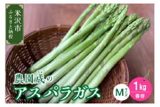 《 先行予約 》【 令和7年産 春芽 】 アスパラガス M 1kg （ 細物 M以下 ）〔 2025年 5月中旬頃 ～ 発送予定 〕 アスパラ 野菜 農園成 産地直送 農家直送 2025年産