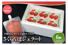 山形県産 プレミアム さくらんぼ ジェラート 6個 ( 1個 120ml ) さくらんぼソース付 ジェラート アイス ジェラートマエストロ 