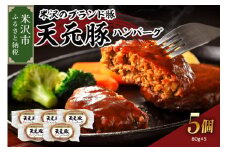 米沢のブランド豚 天元豚 ハンバーグ 5個 （ 1個 80g ） 豚肉 ハンバーグ 豚ハンバーグ ブランド豚 400g 食肉公社