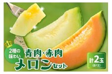 《先行予約》〔 令和7年産 〕赤肉青肉メロン食べ比べセット（クインシー719・クレセント）計２玉〔 2025年7月中旬～8月中旬頃お届け 〕 4kg 程度 2025年