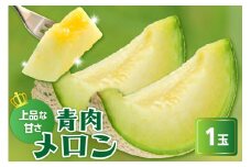 《先行予約》〔 令和7年産 〕青肉メロン（クレセント）１玉〔 2025年7月中旬～8月中旬頃お届け 〕 2kg 程度 2025年