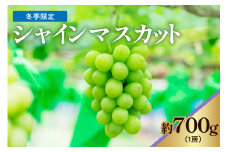 《 令和6年産 》【冬季限定】完熟シャインマスカット 1房 700g 12月中旬頃 ～ お届け 〕 ぶどう 白ぶどう 2024年産 