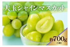 《 先行予約 / 令和7年産 》 【 数量限定 】大玉シャインマスカット　1房　700g〔 2025年9月中旬頃 ～ お届け 〕 ぶどう 白ぶどう 2025年産 