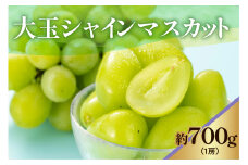 《 先行予約 / 令和7年産 》 【 数量限定 】大玉シャインマスカット　1房　700g〔 2025年9月中旬頃 ～ お届け 〕 ぶどう 白ぶどう 2025年産 