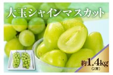 《 先行予約 / 令和7年産 》 【 数量限定 】大玉シャインマスカット　2房　1.4kg〔 2025年9月中旬頃 ～ お届け 〕 ぶどう 白ぶどう 2025年産 