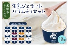 生乳ジェラートバラエティセット　12個　ミルク ラムレーズン キャラメル 抹茶  ブルーベリー