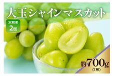 《 先行予約 / 令和7年産 》【 定期便 】 山形県産 大玉シャインマスカット 700g (1房)　2回〔 2025年9月下旬頃 ～ お届け 〕 ぶどう 白ぶどう 2025年産 