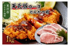 天元豚 ロース とんかつ用 1kg （ 100g × 10枚 ）ブランド豚 ポーク おかず お取り寄せ 送料無料 山形県 米沢市