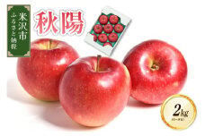 《先行予約》【令和7年産】りんご 秋陽 2kg （6～8玉） 2025年9月下旬頃 お届け 2025年産