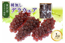 《先行予約》【令和7年産】ぶどう 種無し デラウェア 1kg （5～9房） 2025年7月下旬～ お届け 2025年産