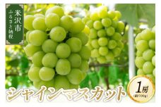 《先行予約》【令和7年産】ぶどう シャインマスカット 1房 （700g） 10月上旬頃～ お届け 2025年産 
